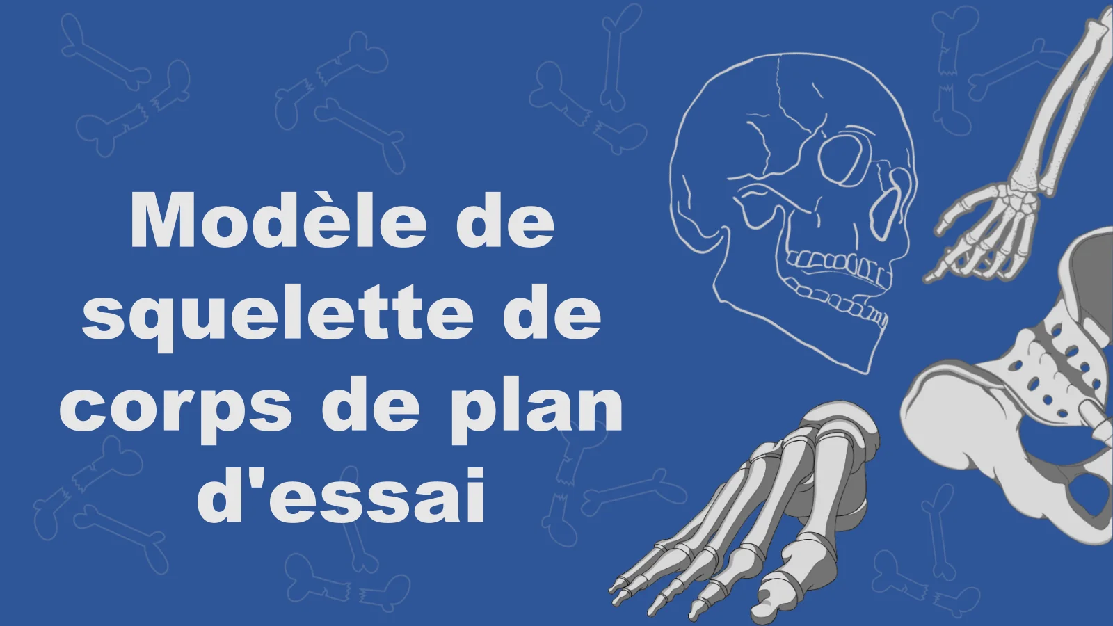 Modèle de squelette de corps de plan d'essai pour une structure claire